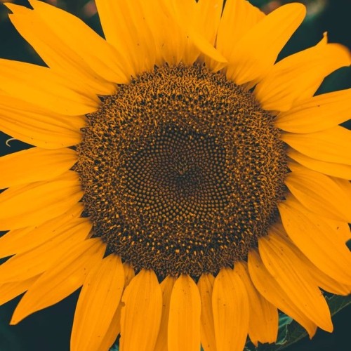 M ch M. profile photo