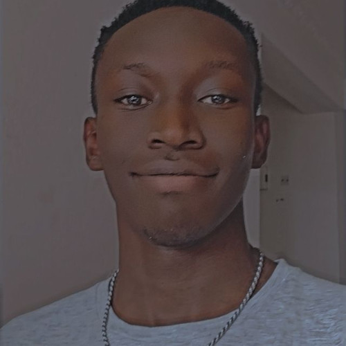 FESTUS L.