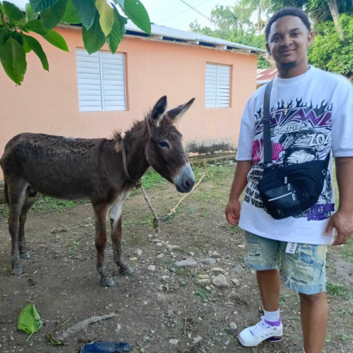 Carlos B. profile photo