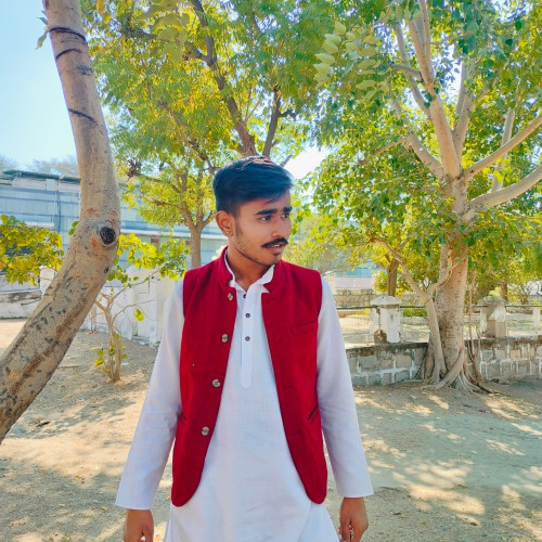 Rakshak P. profile photo