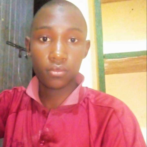 salim l.