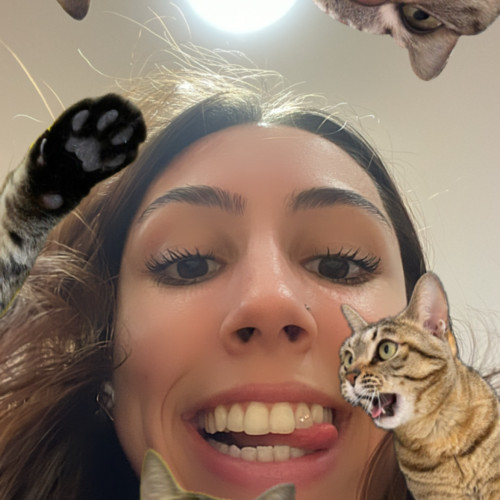 Dina A. profile photo