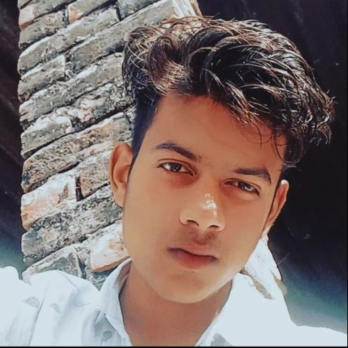 Aryan  R. profile photo