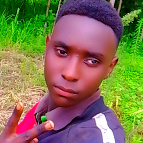 Shelby  S. profile photo