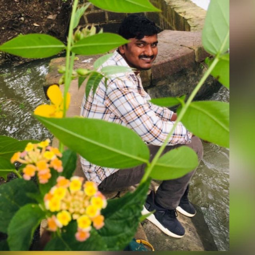 rajesh k. profile photo
