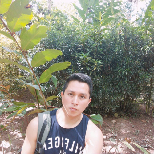 luis S. profile photo
