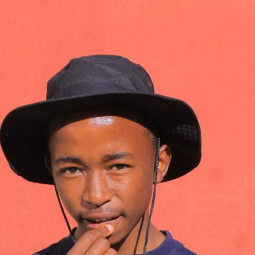 modise n.