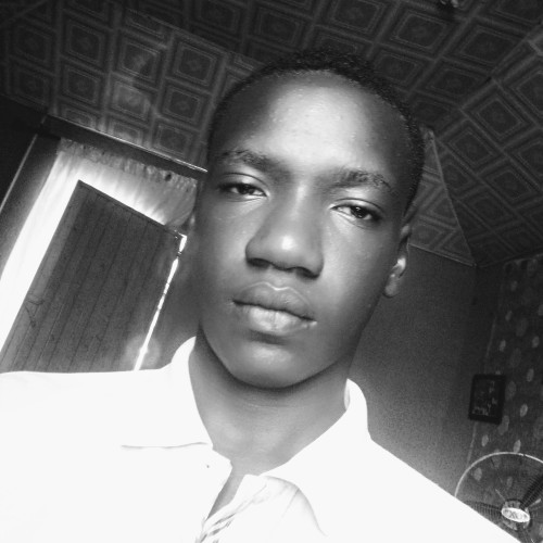 Shalom M. profile photo