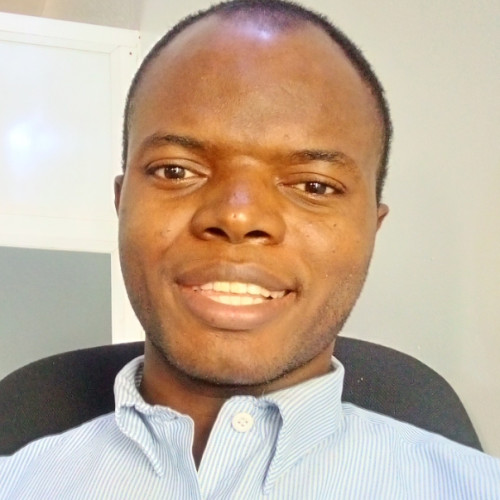 Ifeanyichukwu  N. profile photo