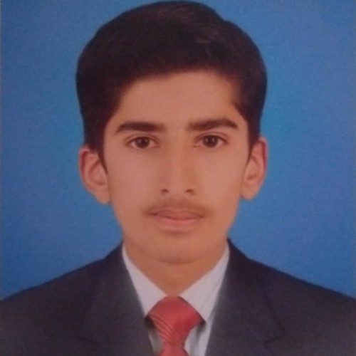 Hassnain A.