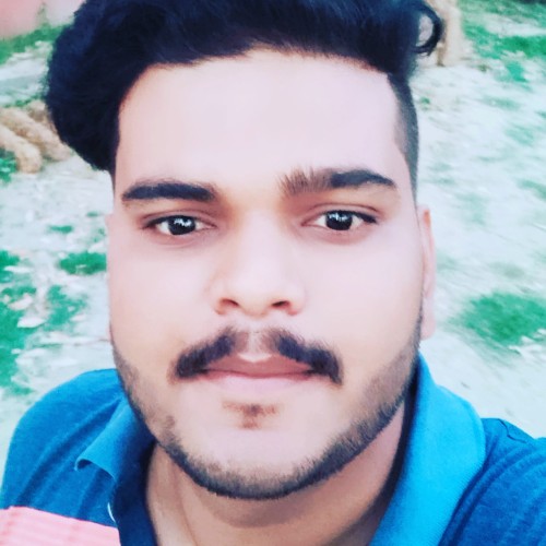 Nikesh P.