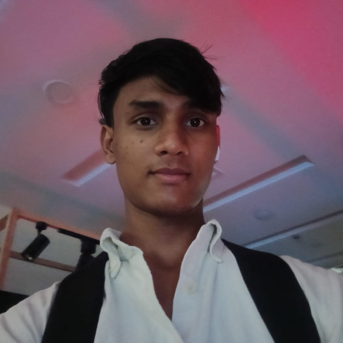 nishuuuu b. profile photo