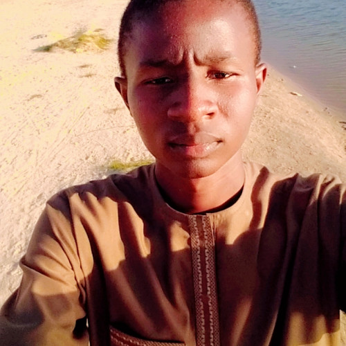 Muhammad M. profile photo