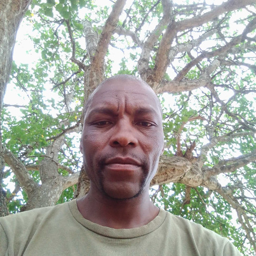 Lungela S. profile photo