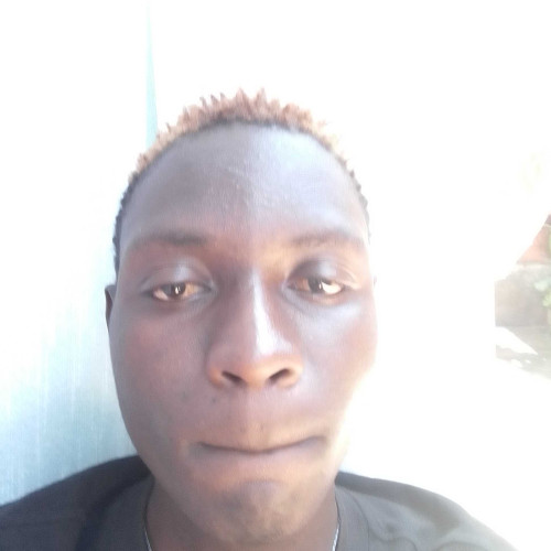 frank L. profile photo