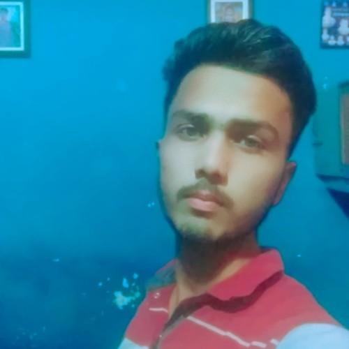 Rudra T. profile photo