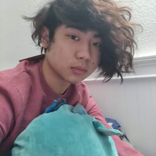 Cayden N. profile photo