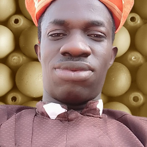 Ayodele A. profile photo