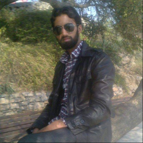 Zia  Z. profile photo