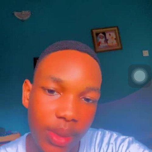 Taiwo  P. profile photo