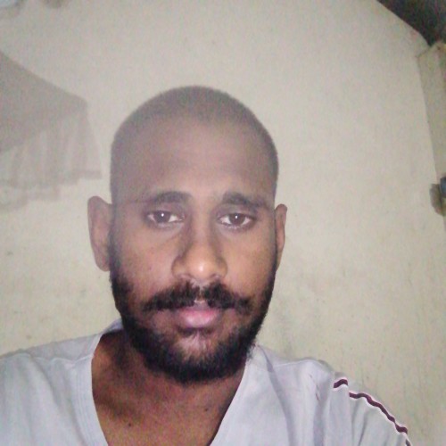 Shehan K. profile photo