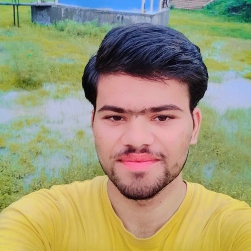 Vinayak  S. profile photo