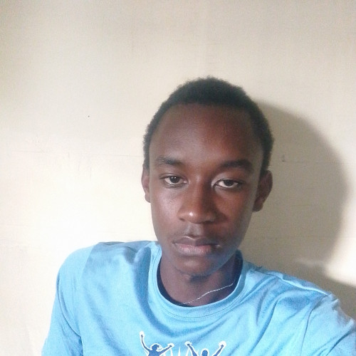 Martin W. profile photo