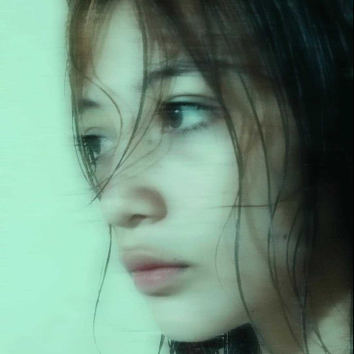 Diana N. profile photo