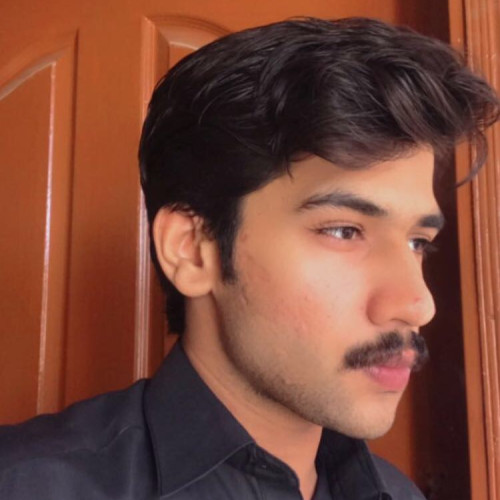 Wajahat A. profile photo