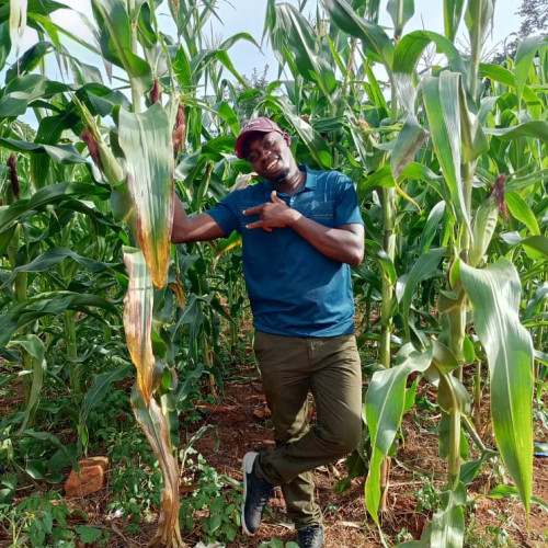 Shady  S. profile photo