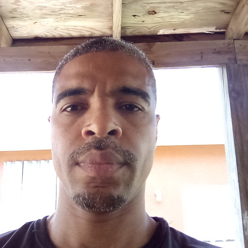Dutch  M. profile photo