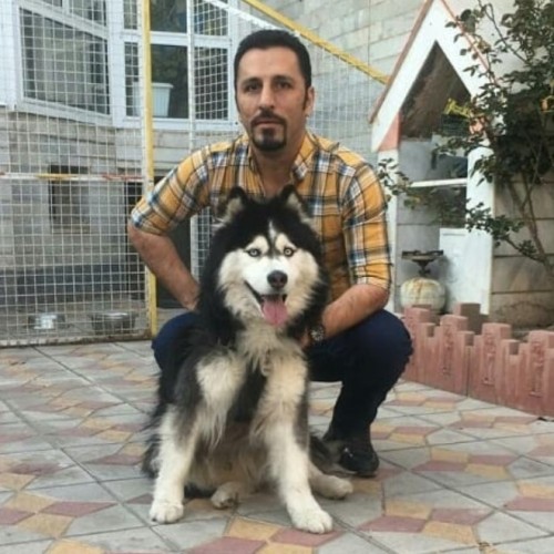 Vahid A. profile photo