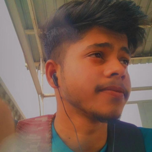 Aryan V.
