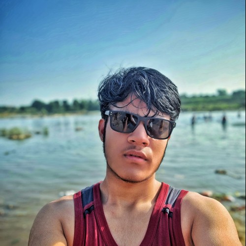Aarav K.
