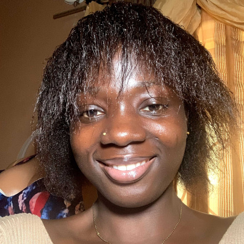 Olaniyi B. profile photo