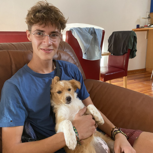 Dario K. profile photo
