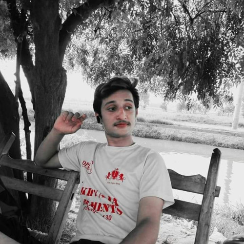 Syed H. profile photo