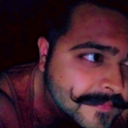 Nikunj  V. profile photo