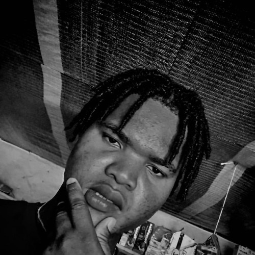 lil l. profile photo