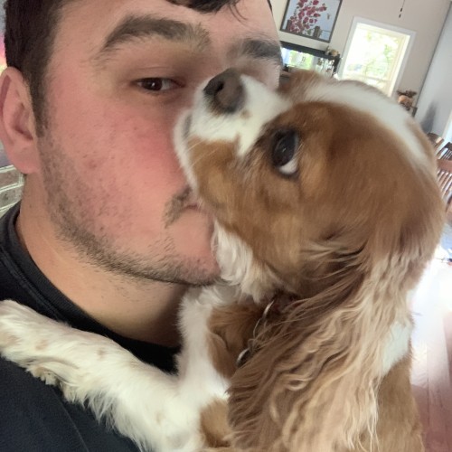 Dan A. profile photo