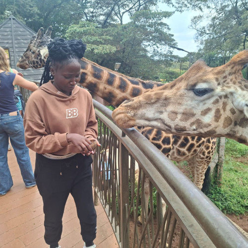 CYNTHIA  M. profile photo