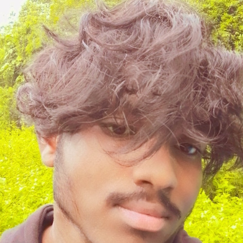 shan l. profile photo