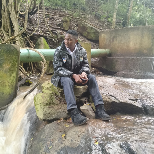 Denis N. profile photo