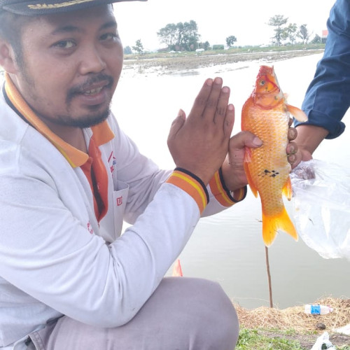Abdul L. profile photo
