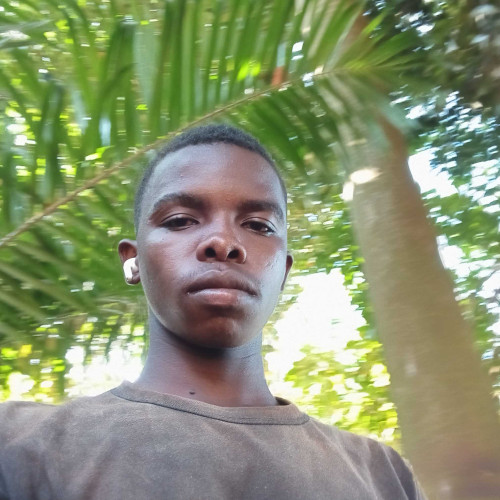Mavenz N. profile photo