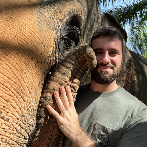 Enrico P. profile photo