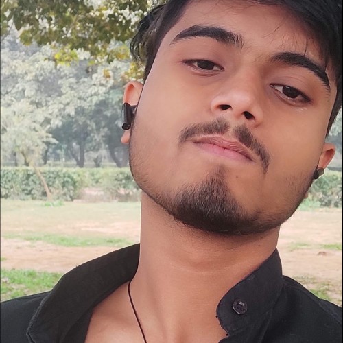 Ritik S.