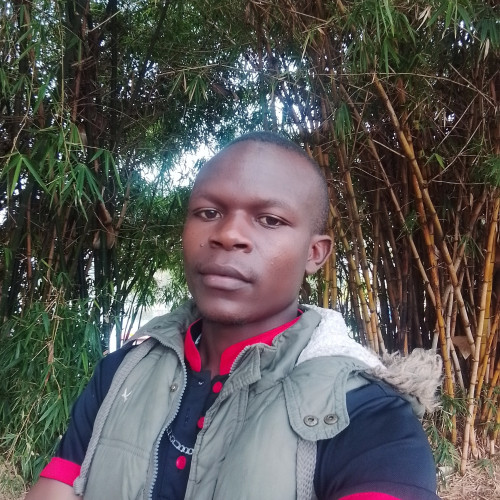 Danican S. profile photo