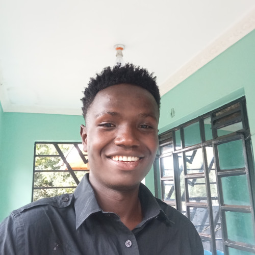 Steve N. profile photo