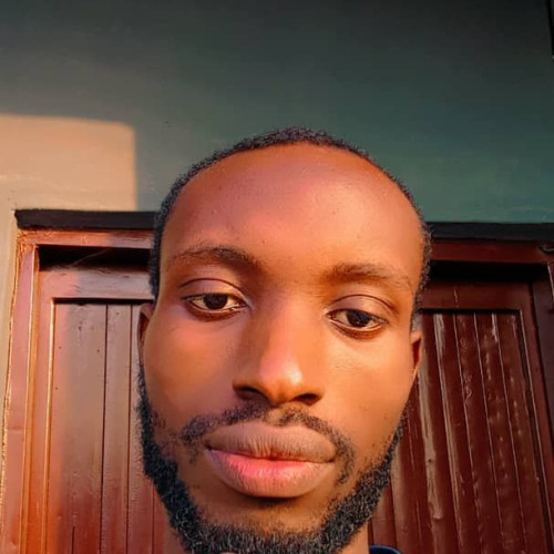 Olawale A. profile photo